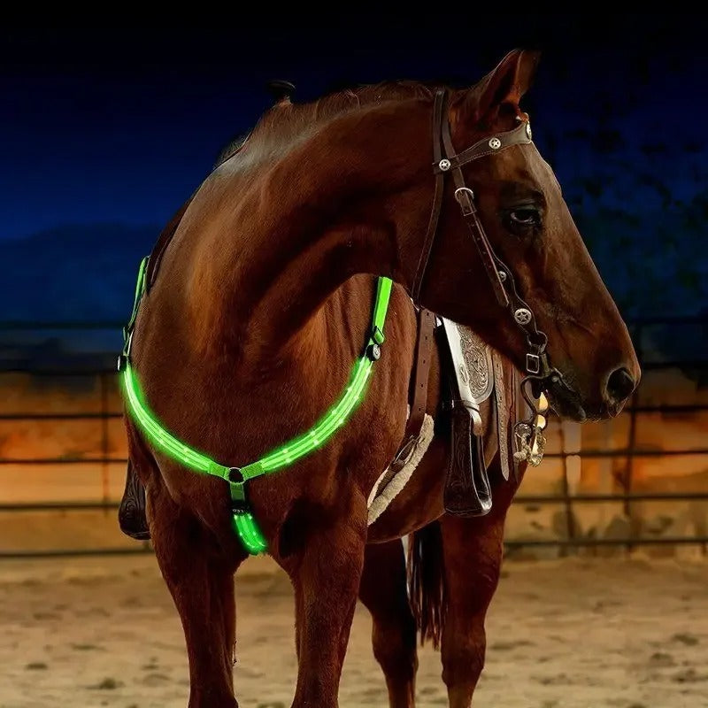רצועת חזה עם תאורת LED לסוסים – שילוב של בטיחות ואלגנטיות
