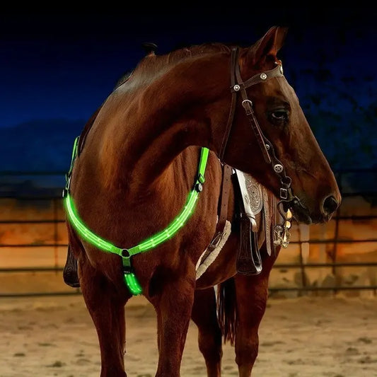 רצועת חזה עם תאורת LED לסוסים – שילוב של בטיחות ואלגנטיות