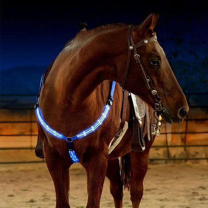 רצועת חזה עם תאורת LED לסוסים – שילוב של בטיחות ואלגנטיות